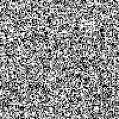 Seashell and Geometric Pattern – Decorative Seamless Texture