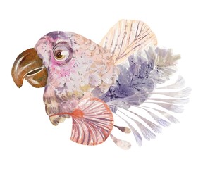 Fototapeta premium White parrot head adorned with boho exotic dried leaves watercolor safari composition in calm neutral tones on white background perfect for nursery wall art poster and modern interior decor