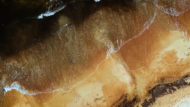 Foamy waves touching bright sandy shore. Sea surf washing over smooth wet beach. Ocean water flowing across golden coastline. White foam spreading along curved sand patterns