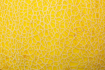 Close-up macro of cantaloupe peel texture,Melon skin texture close up. Summer background.