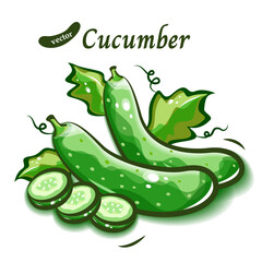 緑のきゅうりのイラスト｜ポップアートな新鮮野菜ベクター
