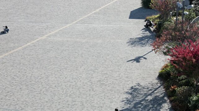 Tokyo Scene : Shadows of People Walking in City Square Stretch Out in the Late Afternoon Sun  |  Tokyo, Japan