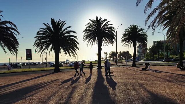 Montevideo, Uruguay: November 8 2025: Long shot video against the light showing a group of people walking along a sidewalk with palm trees, with the avenue and the sea in the background