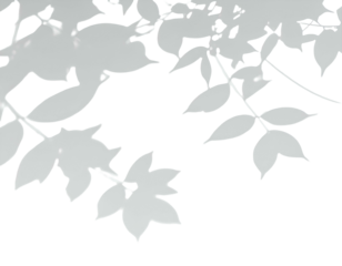 Light gray stylized leaves and branches against black