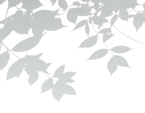 Light gray stylized leaves and branches against black