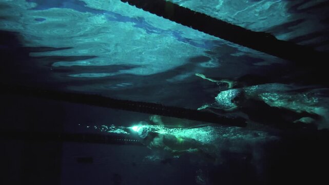 Swimming: Underwater Backstroke and Freestyle Technique by Professional Swimmers 4K