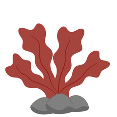 Red Seaweed vector illustration