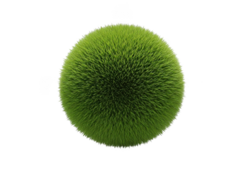 Green fuzzy egg shaped object isolated on white background