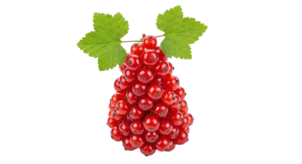 Isolated red currant bunch, vibrant cluster with green leaves, summer fruit, nature's bounty