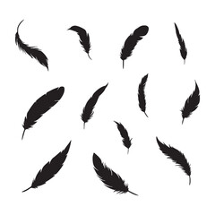 Elegant black feather silhouettes arranged artistically. Ideal for tattoo design, print decoration, and minimalist illustrations.