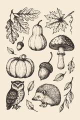 Charming hand-drawn collection of forest animals, mushrooms, and leaves in vintage sketch style. Ideal for nature prints and educational art.