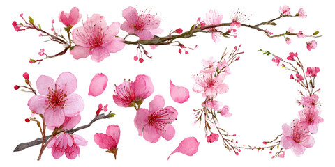 Watercolor pink cherry blossoms branches flowers and petals design set