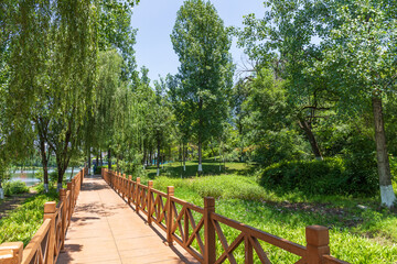 The greenery and natural scenery of Donghu Park in Chengdu