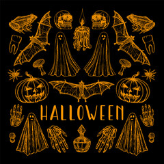 Halloween card design - sketch outline illustration. Ghost, pumpkin, skull, mushroom, spider drawings in engraving style. Hand-drawn vector line art, sticker collection
