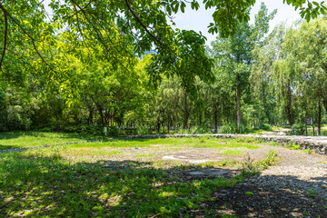 The green tree scenery of Donghu Park in Chengdu