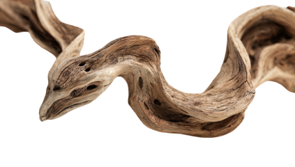 A close-up of a weathered, intricately shaped piece of driftwood against a stark black background