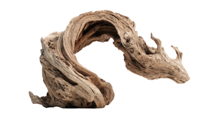 Close-up of a twisted piece of driftwood on a solid black background