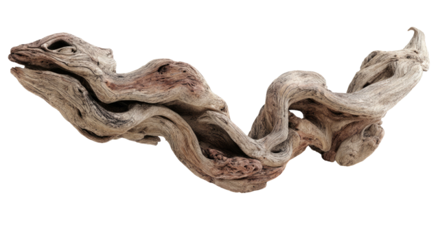 A winding, weathered piece of driftwood with a natural, organic form against a transparent background