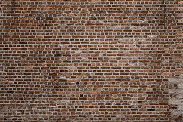 brick wall texture background on day noon light