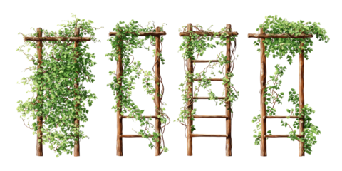 Four wooden trellises, each with climbing greenery, arranged in a row against a black background