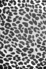 Black and white leopard print fabric pattern in close up