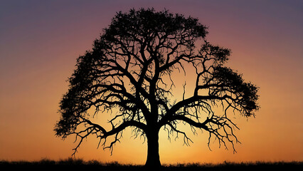 Leafless Tree Silhouette at Sunset – Serene Savanna Landscape with Vibrant Sky and Natural Beauty Elements, 8K image 