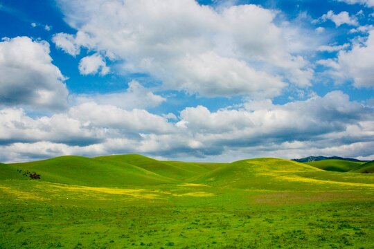 Fluffy clouds in a blue sky over a rolling grassland landscape, California, USA