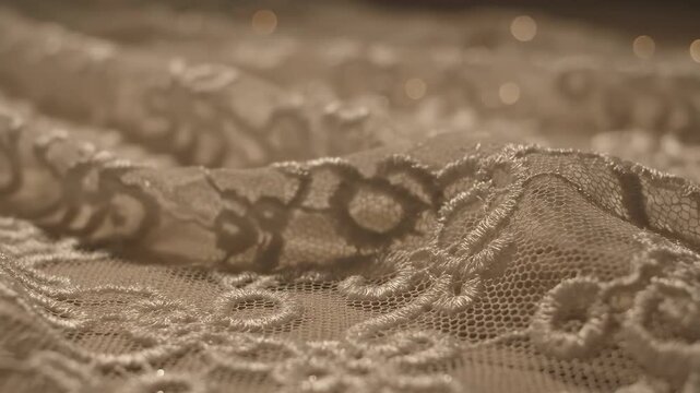 Delicate Lace Fabric Texture Elegant, Wedding, Bridal, Textile