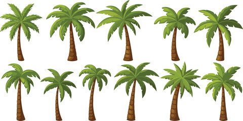 Collection of palm trees isolated on transparent background