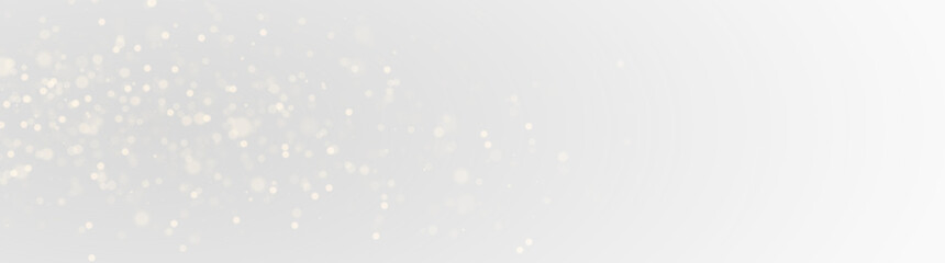 Shiny Stardust Holiday Glow