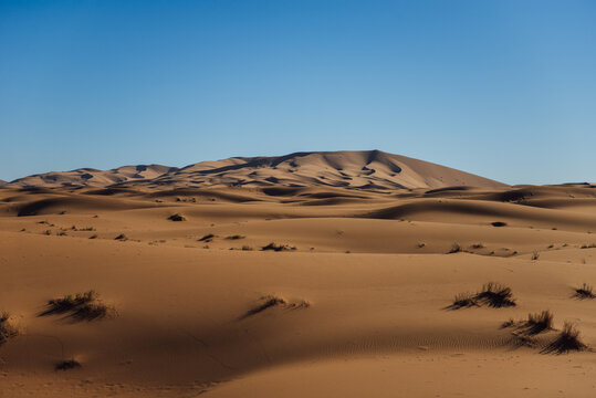 Sand dunes in the Sahara Desert at dawn, Merzouga, Errachidia Province, Draa-Tafilalet region, Morocco