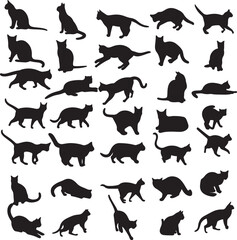 Fototapeta premium Diverse Cat Breeds and Feline Animal Silhouette Collection