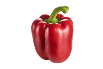 single vibrant red bell pepper. Isolated on transparent background, png