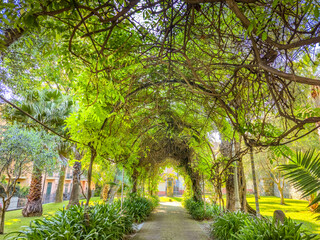 Monet Gardens in Bordighera, Italy