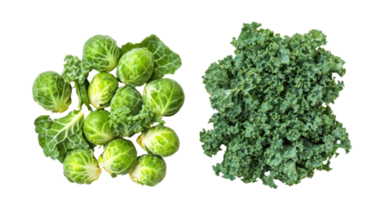 Fresh brussels sprouts and kale isolated on transparent background