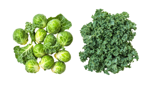 Fresh brussels sprouts and kale isolated on transparent background - Powered by Adobe