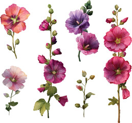 collection of flowers