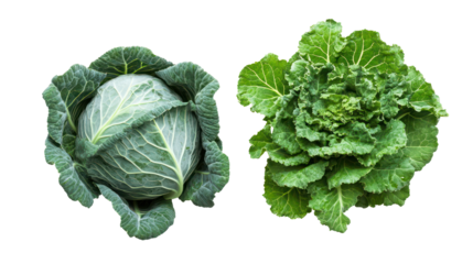 Two fresh green cabbages isolated on transparent background