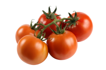  fresh red tomatoes on a vine . Isolated on transparent background, png