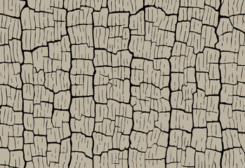 Close up of parched cracked earth forming tessellated geometric patterns across a dry arid landscape, highlighting drought, heat, soil texture, and resilience.