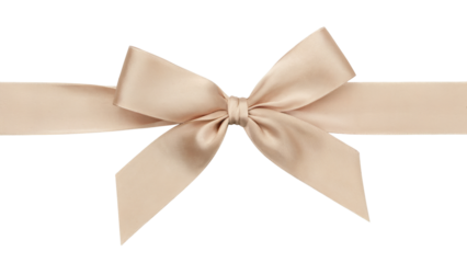 elegant satin bow tied for gift wrapping  . Isolated on transparent background, png