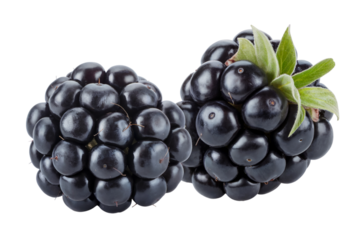 Fresh blackberries with a delightful presentation . Isolated on transparent background, png