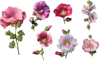 set of flowers isolated