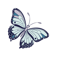 Elegant Blue Butterfly Illustration