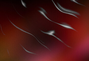 Abstract textured background with soft light trails across a warm gradient from red to orange to dark brown, featuring noise and flowing curved streaks for creative design projects