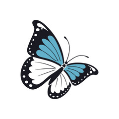 Blue and White Butterfly Vector Illustration