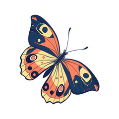 Colorful Patterned Butterfly Illustration