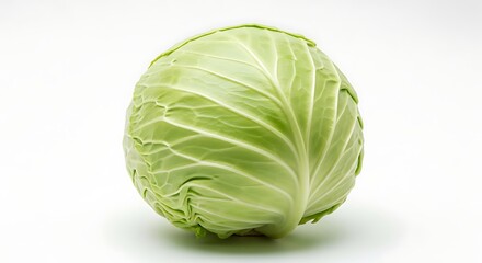 Fototapeta premium A whole green cabbage with tightly packed leaves, isolated on a white background