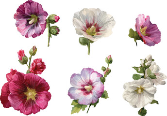 collection of flowers