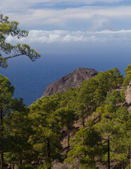 Obraz premium Gran Canaria, steep eroded north west coast of Agaete municipality, view from nature park Tamadaba towards Faneque, the second highest in Europe cliff